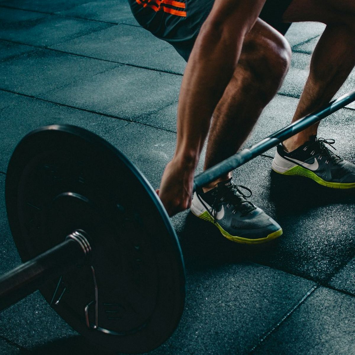 Frost Fit Zone